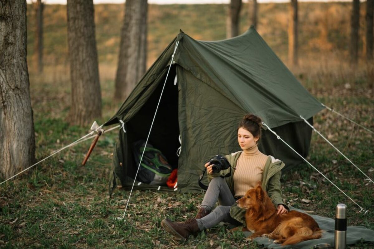 Choosing the Right Shelter Tent A Comprehensive Guide